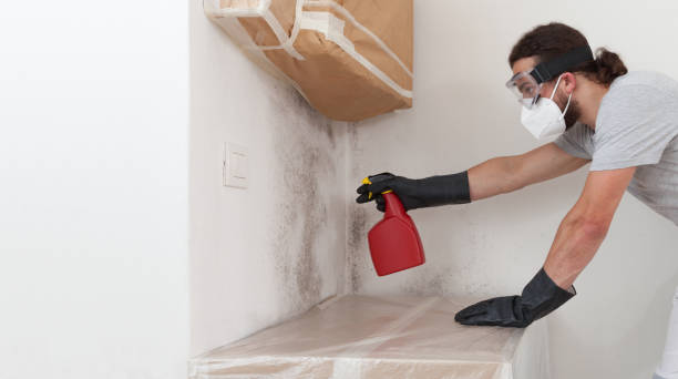 Professional Mold Removal technician working in Libertyville, IL