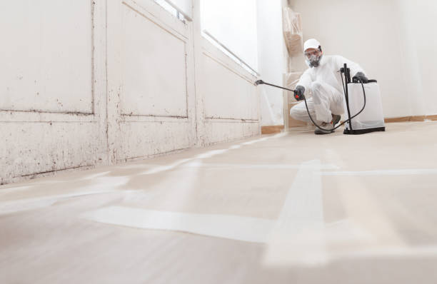 24/7 Emergency Mold Removal experts in Libertyville, IL