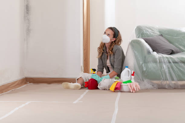 Reliable Mold Removal contractor in Libertyville, IL by 24 Hour Mold Removal